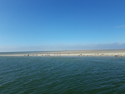 Eilandvakantie Terschelling